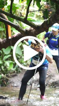 BIB:  <button type="button" onclick="openModal(27609440)" class="btn btn-primary btn-sm float-right" data-toggle="modal" data-target=".modal-high-quality">
                <i class="fa fa-download"></i> Download
                </button>